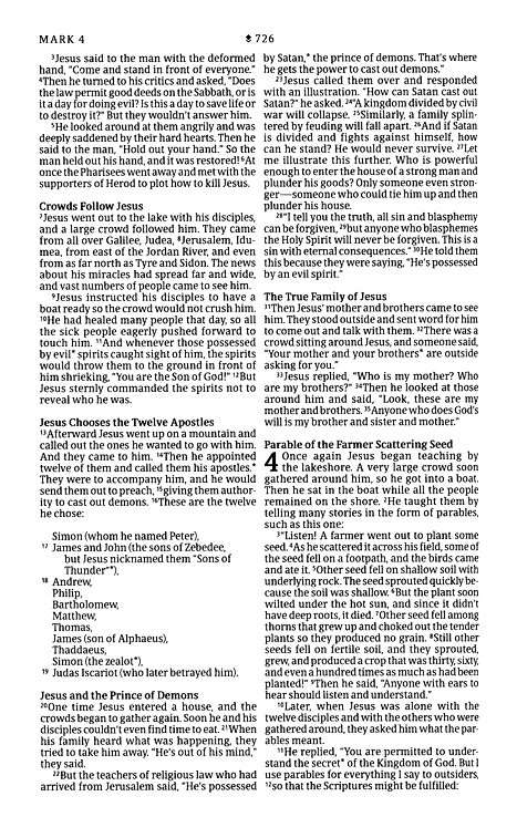 NLT Premium Value Thinline Bible: Dusty Pink Vines Leather-Like Cover (ISBN: 978196484789)
