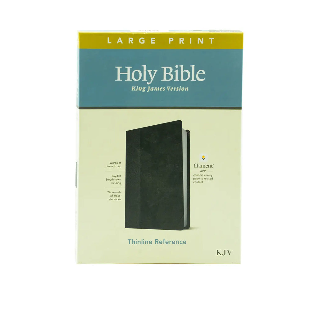 KJV Large Print Thinline Reference Bible + NLT Tyndale Inspire Catholic Coloring Bi Combo