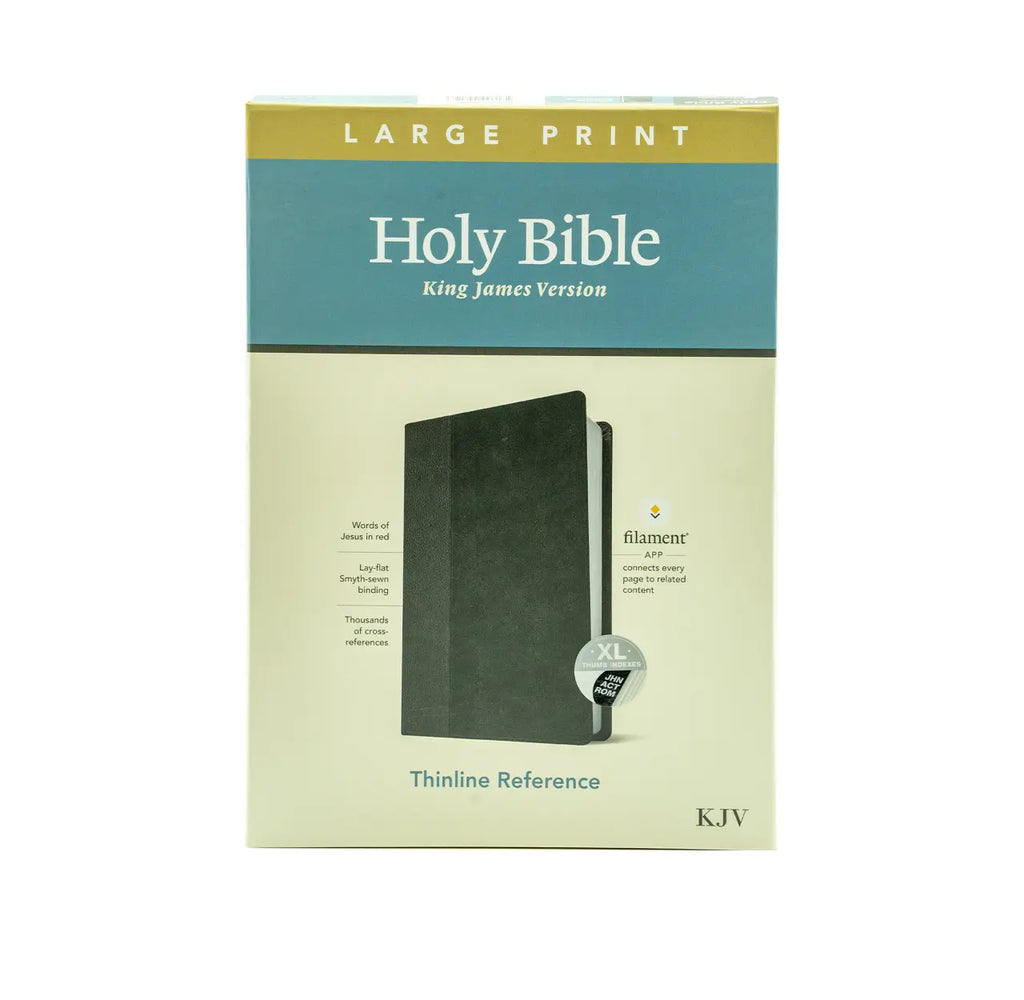 KJV Large Print Thinline Reference Bible, Teal Leather-Bound