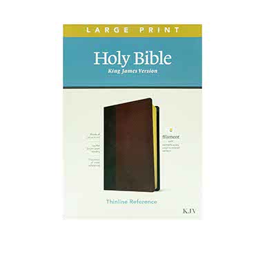 KJV Large Print Thinline Reference Bible + NLT Christian Basics Bible: Building Blo Combo