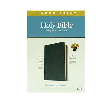 KJV Large Print Thinline Reference Bible + NIV The Charles F. Stanley Life Principl Combo