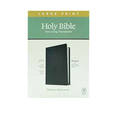 NLT Large Print Thinline Reference Bible + The Interlinear Bible: Hebrew-Greek-Engl Combo