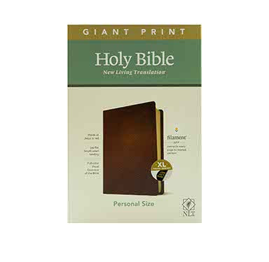 NLT Personal Size Giant Print Bible, Fil + KJV Large Print Compact Reference Bible  Combo