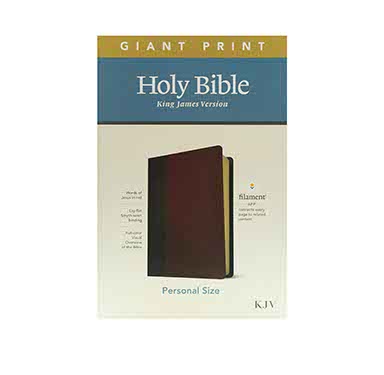 KJV Personal Size Giant Print Bible: Fil + KJV Holy Bible Standard Size | Christian Combo