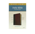 KJV Personal Size Giant Print Bible: Filament Enabled