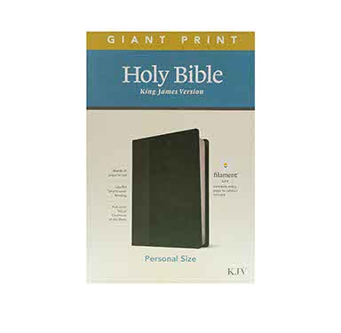 KJV Personal Size Giant Print Bible