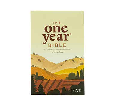 NIV One year Bible | Christian Bible Ser + NIV Rainbow Study Bible Red | Christian  Combo