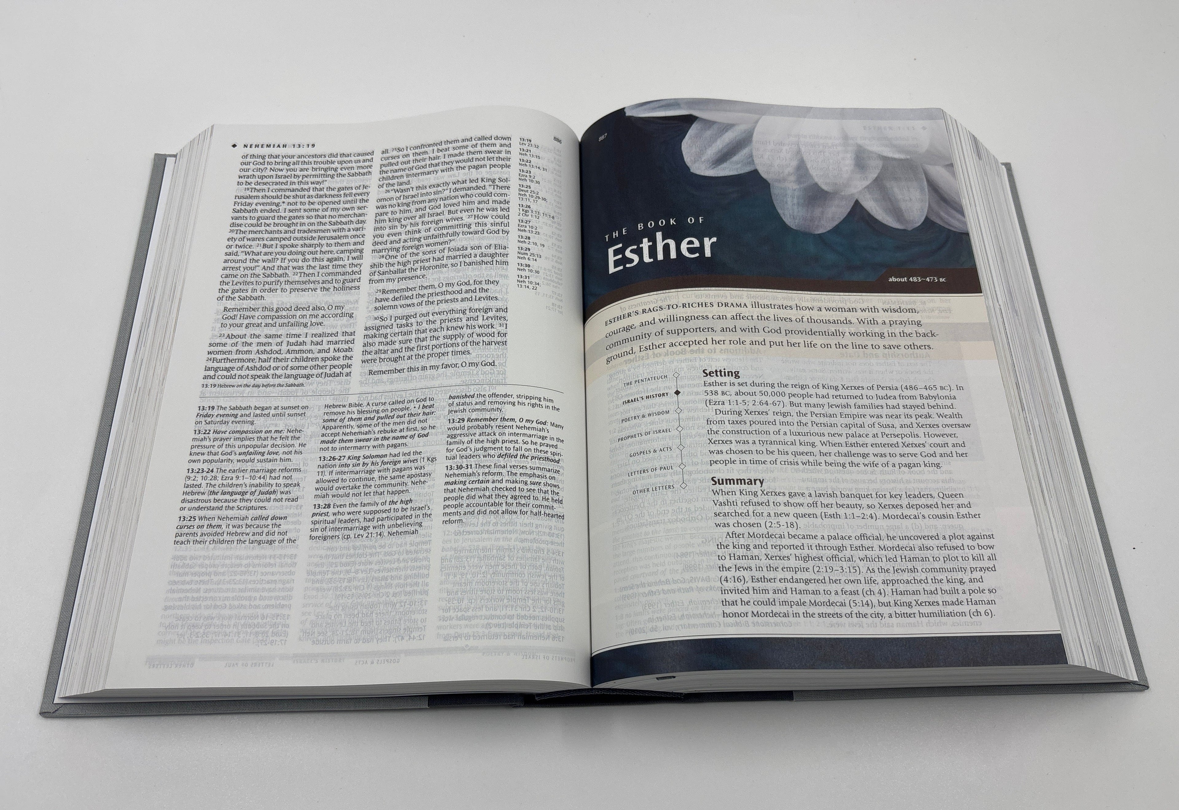 NLT Illustrated Study Bible Deluxe Linen Slate Grey Product Bundle