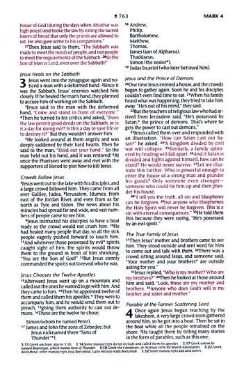NLT New Living Translation Bible, Compact Size with Zipper Closure, Charcoal Patch Design (ISBN: 9781496455512)