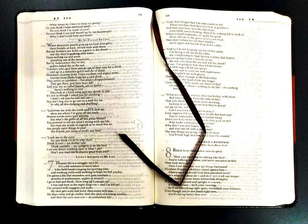 The Message Bible: Slimline Edition in Brown and Saddle Tan Leather-Look