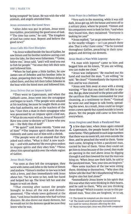 NIV Student Bible, Personal Size, Tan LeatherSoft Edition (ISBN: 9780310461715)
