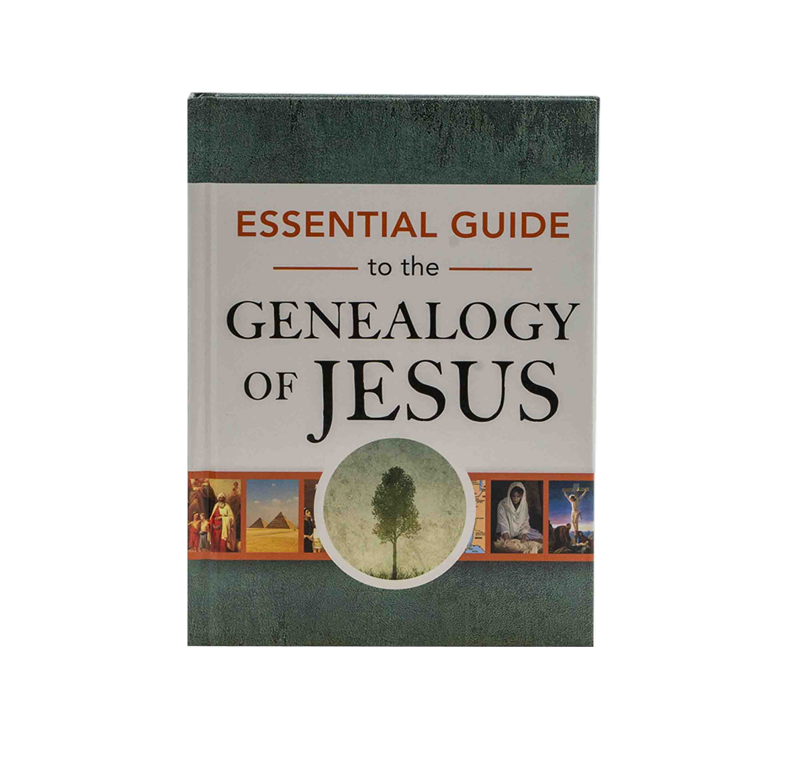 Essential Guide to the Genealogy of Jesus