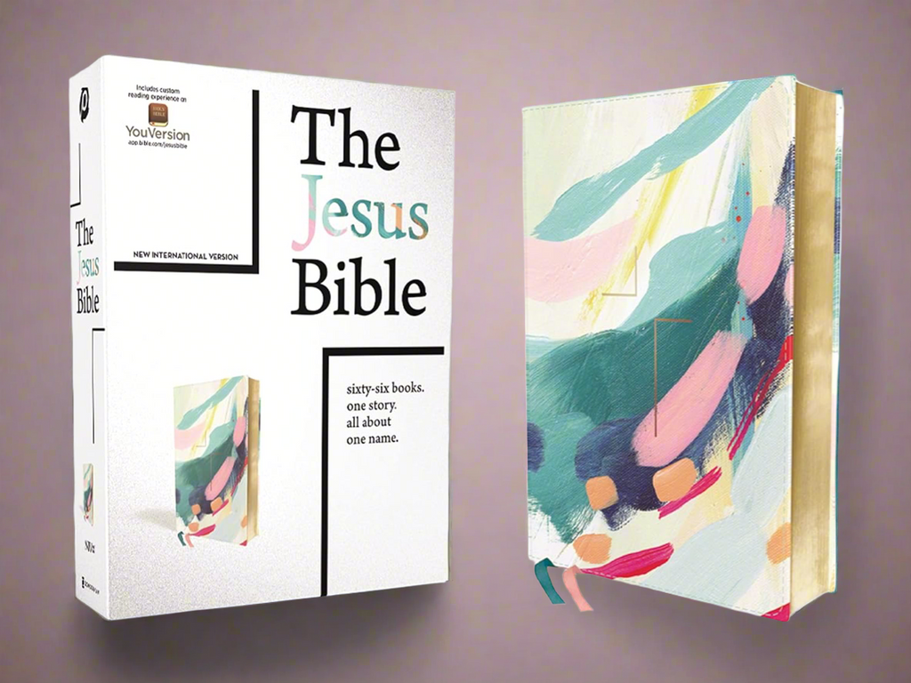Holy Bible: New International Version, Multi-Color / Teal, Leathersoft, Study, Comfort Print Imitation Leather – Import
