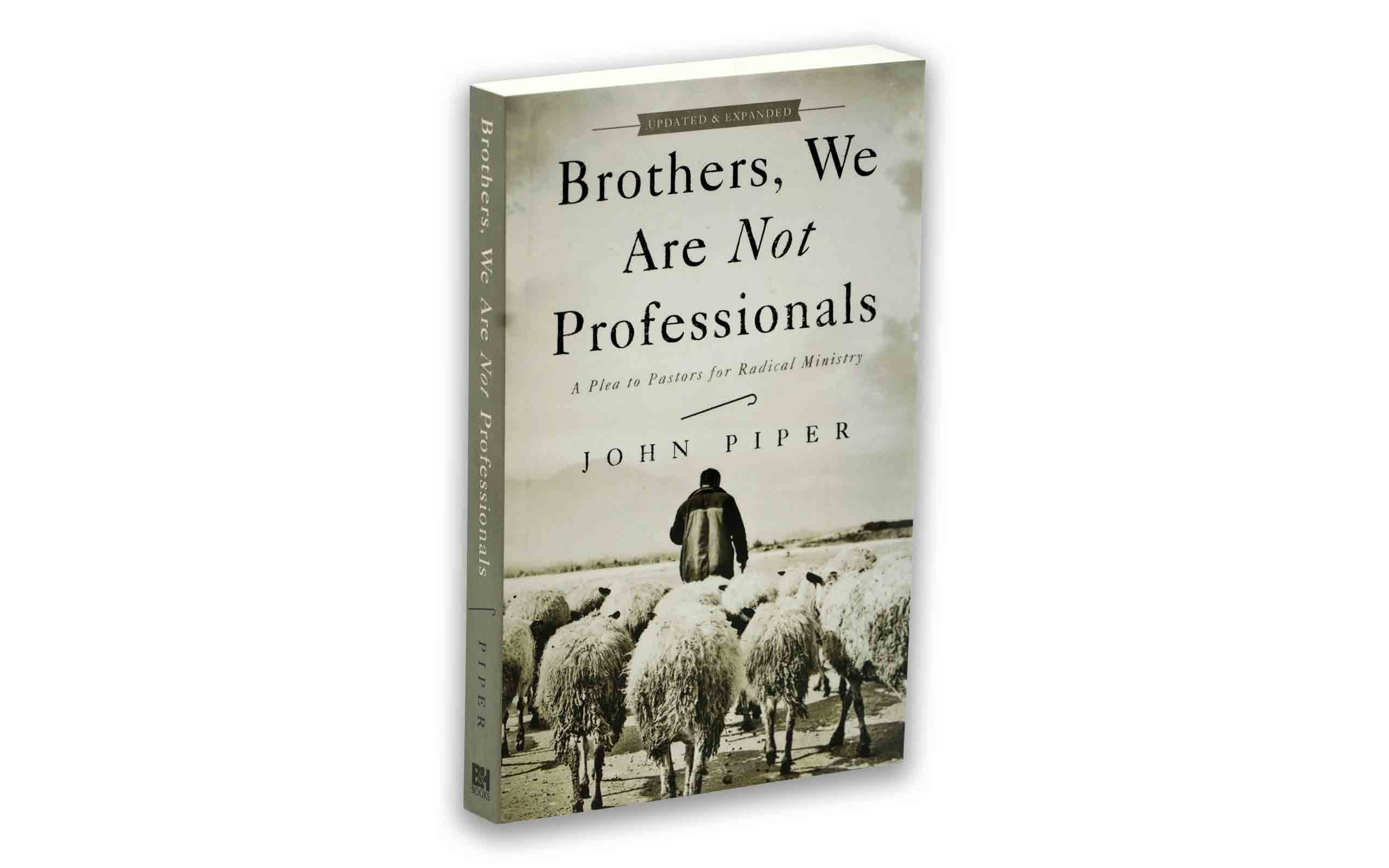 Brothers, We Are Not Professionals