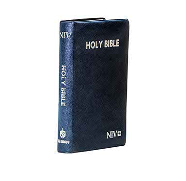 NIV Medium Pearl vinyl Blue | Christian  + KJV Holy Bible Deluxe Gift Edition - Gra Combo