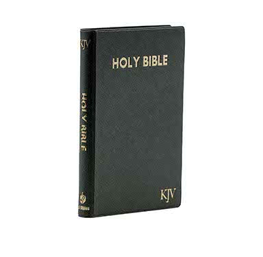 KJV Medium Pearl Vinyl Bible with Thumb  + NIV Pew and Worship Bible, Large Print | Combo