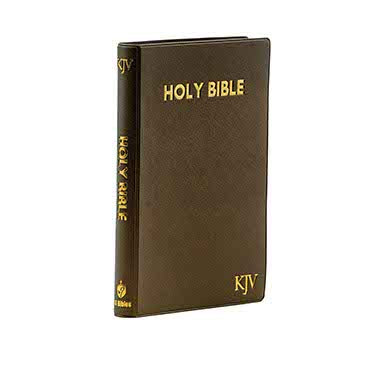 KJV Medium Brown Pearl Vinyl Bible - Thu + Strong's Concise Concordance And Vine's  Combo