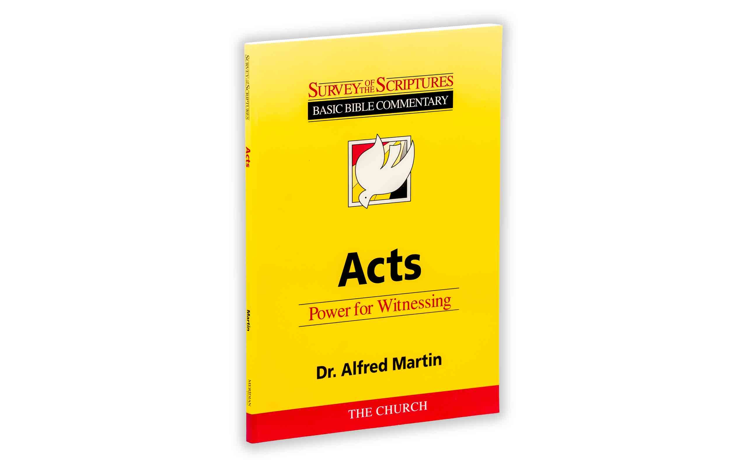 Acts Power for Witnessing Survey of the Scriptures Series