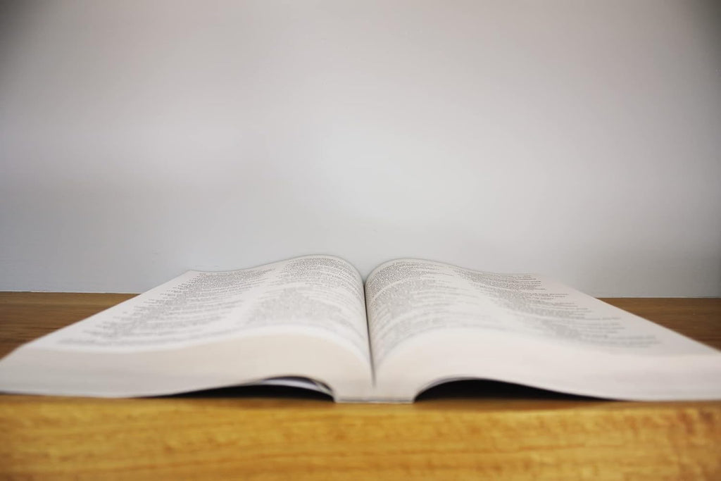 Holy Bible: New International Version Outreach Bible for Kids Paperback – Large Print