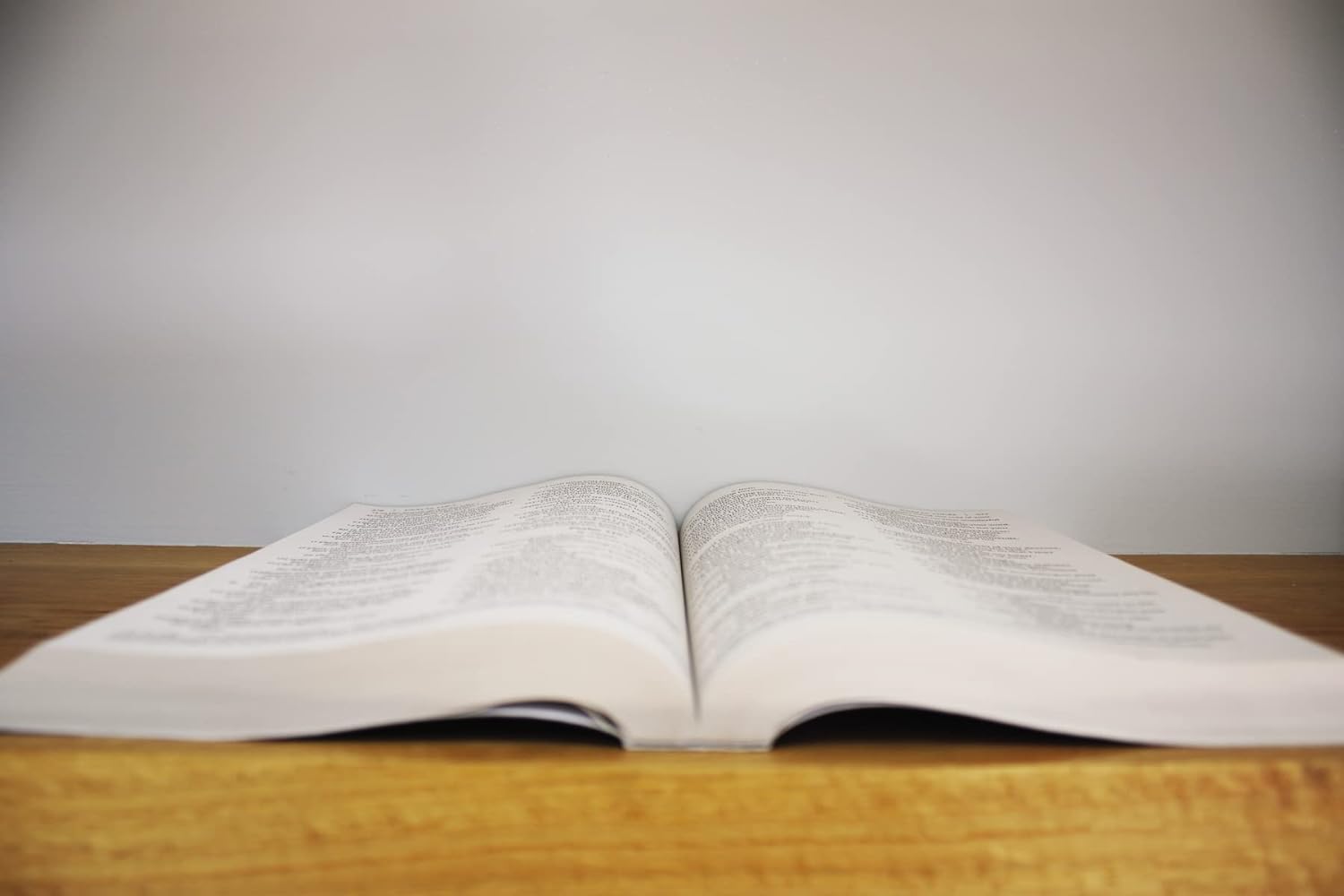 Holy Bible: New International Version Outreach Bible for Kids Paperback – Large Print