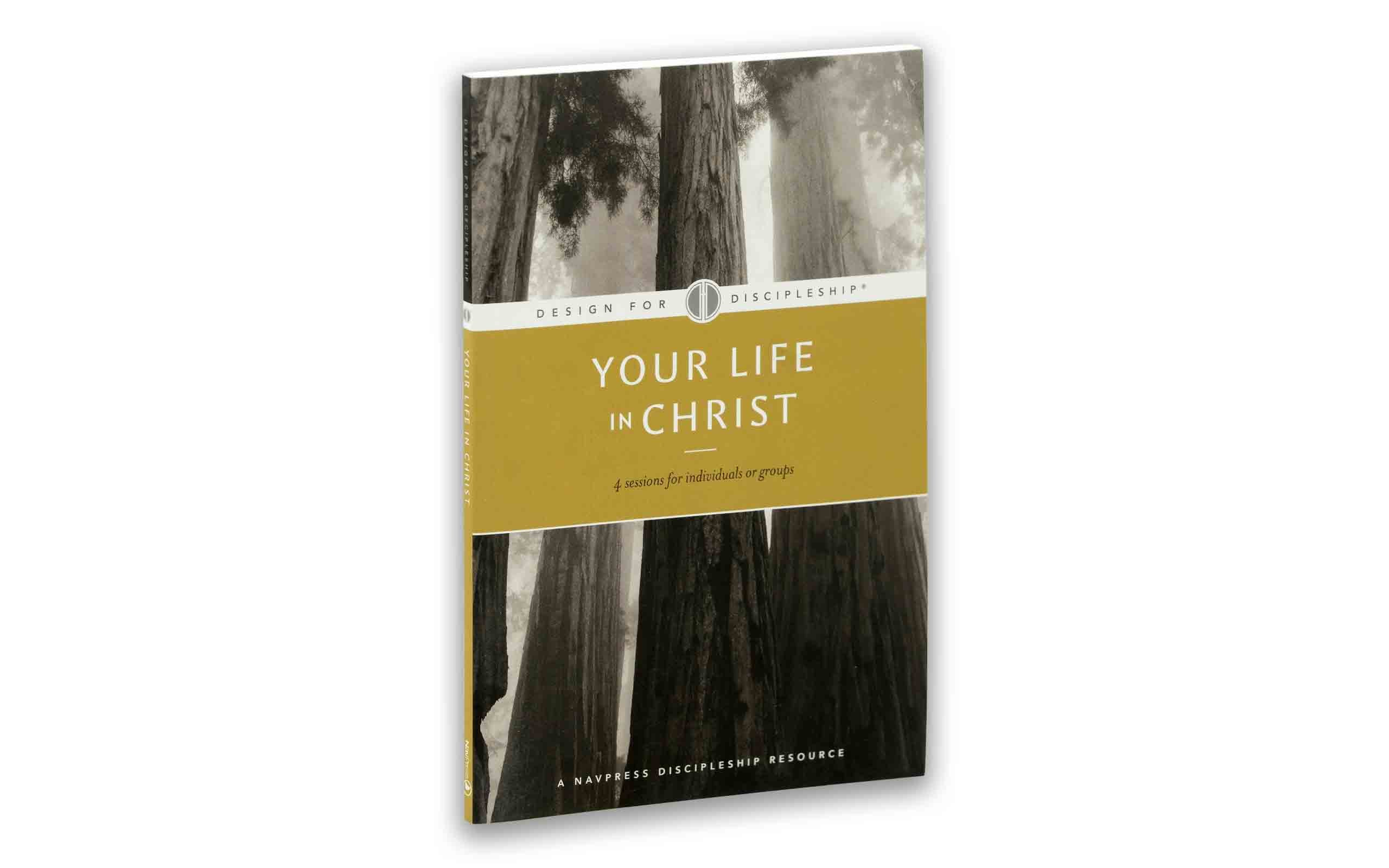 Your Life in Christ