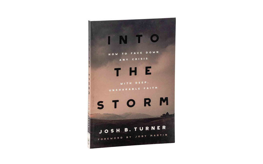 Into the Storm: How to Face Down Any Cri + 123 Jesus Loves Me for Little Ones | Chr Combo
