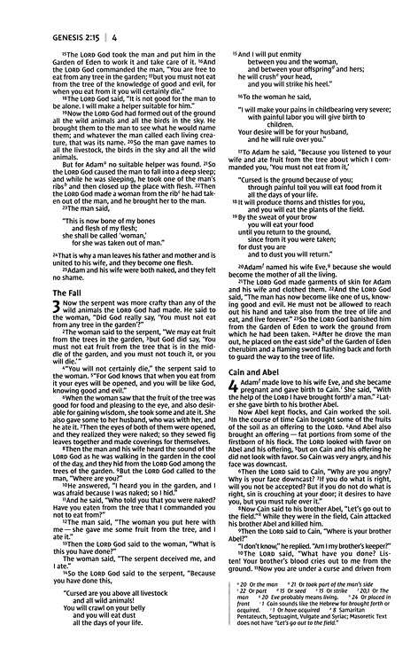 NIV Premium Gift Bible, Blue Leathersoft Edition