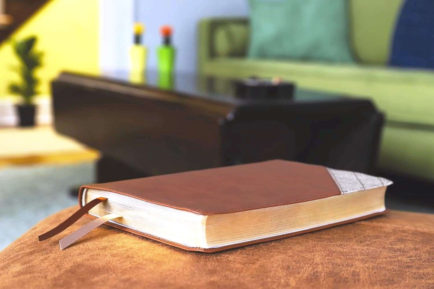 NIV Thinline Bible: Comfort Print Edition, Brown Soft Leather Cover