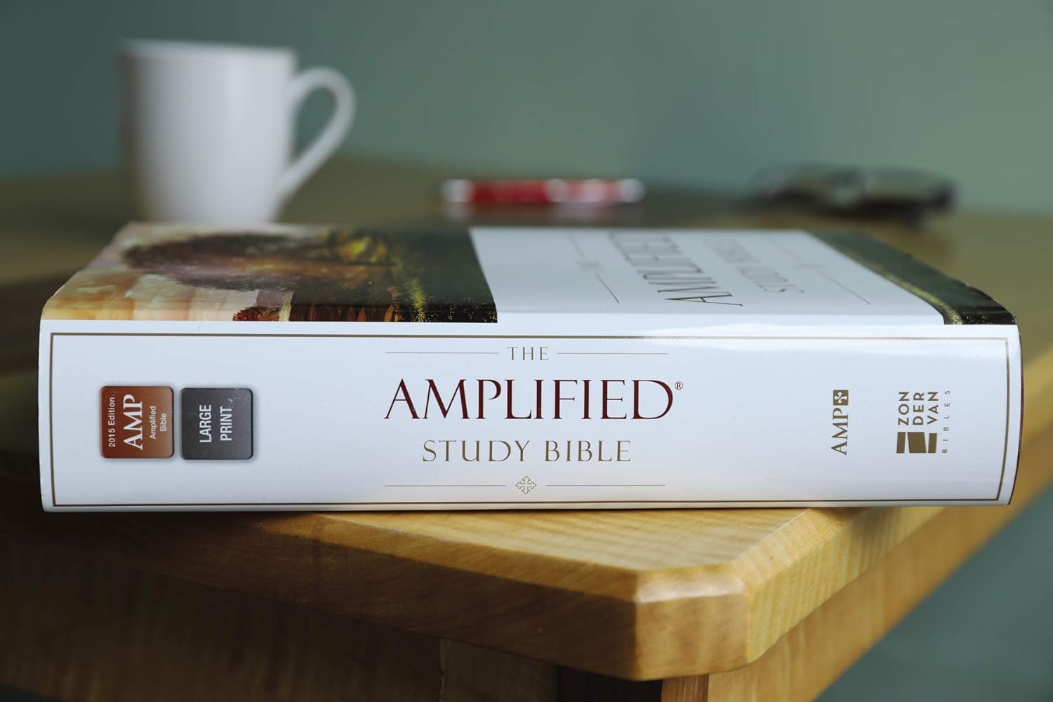 Brown Imitation Leather Hardcover Leathersoft Amplified Study Bible