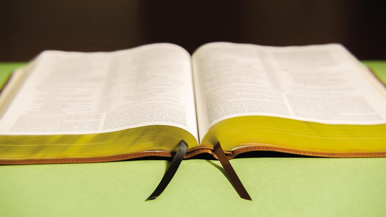 In-depth study Bible with NIV translation and indexed leather cover design