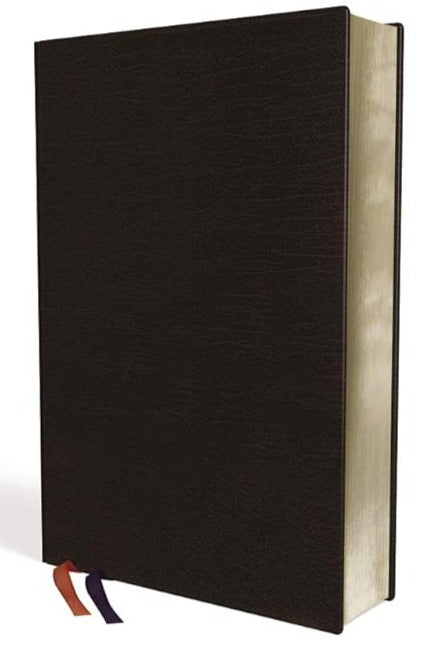 NIV Thinline Bonded Leather Burgundy Red Letter Edition Bible