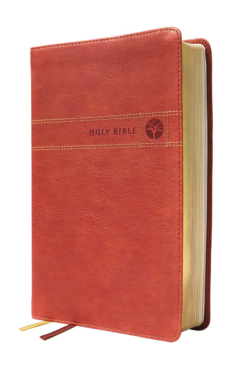 Men's Devotional Bible in Leathersoft Brown, NIV