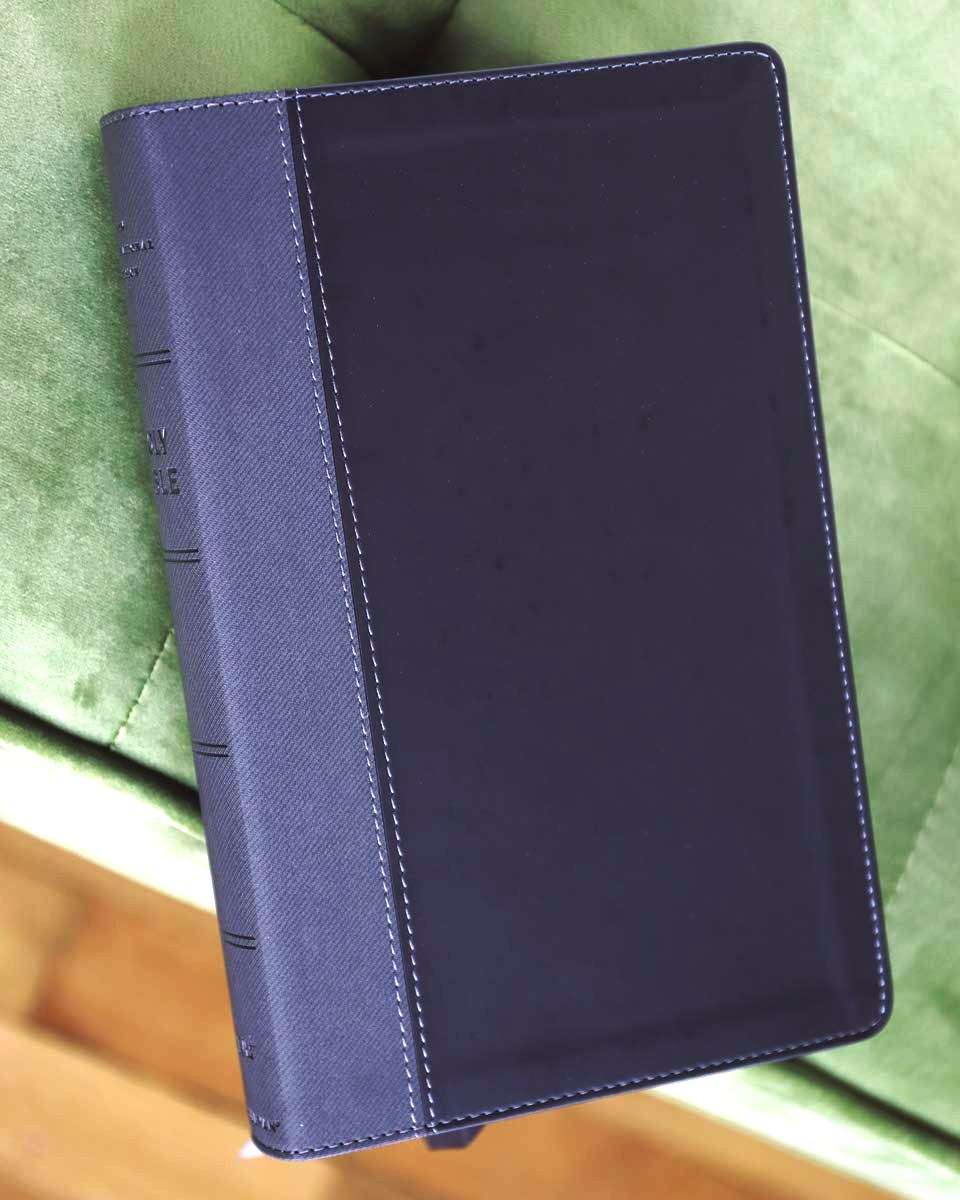 NIV Large Print Personal Size Bible, Black and Grey Leathersoft Cover (ISBN 9780310454267)