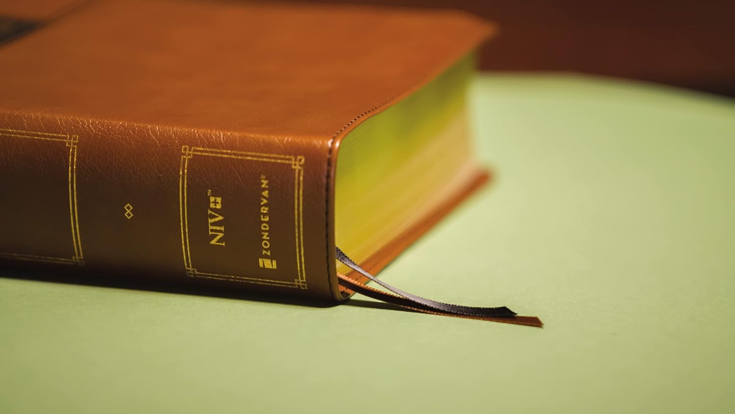 Professional NIV study Bible with indexed leather binding