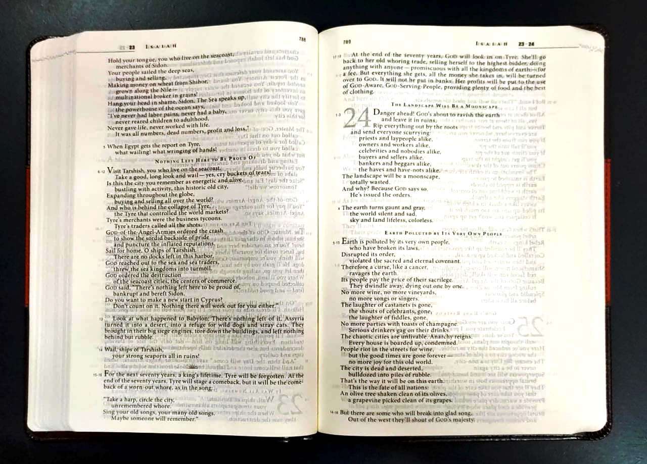 The Message Bible: Slimline Edition in Brown and Saddle Tan Leather-Look