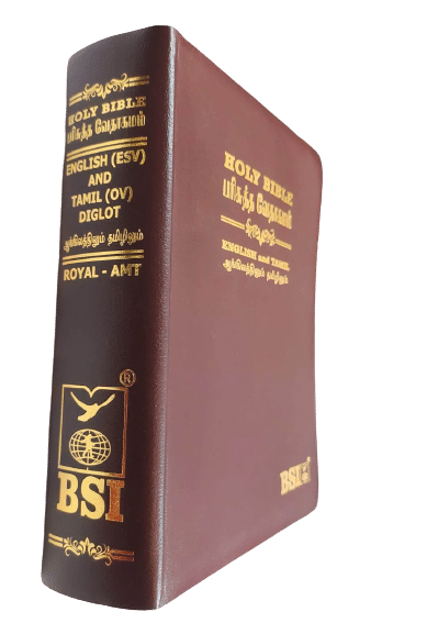 Tamil-English Parallel Bible, Large Font China Print Edition, Burgundy Leather Bound, BSI Publication (ISBN: 9789393511874)