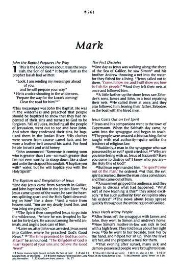 NLT New Living Translation Bible, Compact Size with Zipper Closure, Charcoal Patch Design (ISBN: 9781496455512)