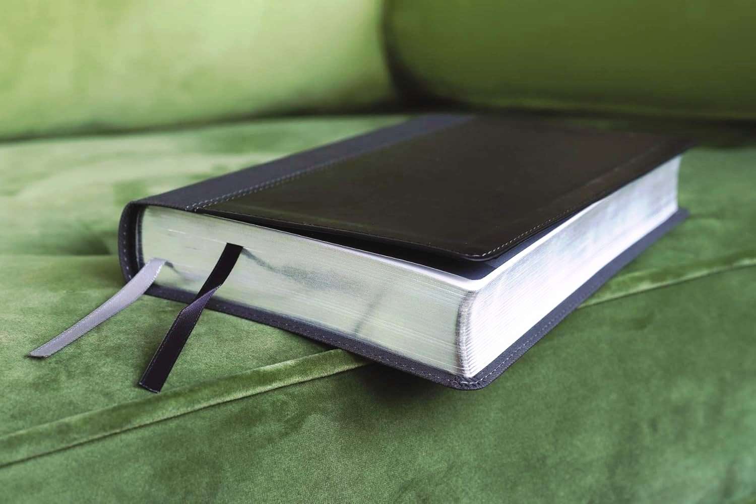 NIV Large Print Personal Size Bible, Black and Grey Leathersoft Cover (ISBN 9780310454267)