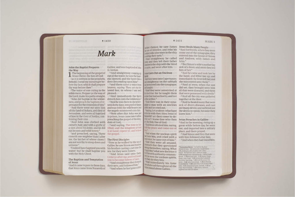 KJV Personal Size Giant Print Bible, Filament Edition, Brown Leather Bound (Red Letter, Genuine Leather, Burgundy)