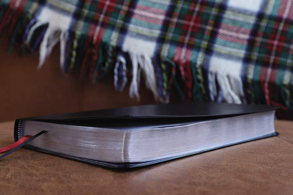 NIV Thinline Bonded Leather Burgundy Red Letter Edition Bible