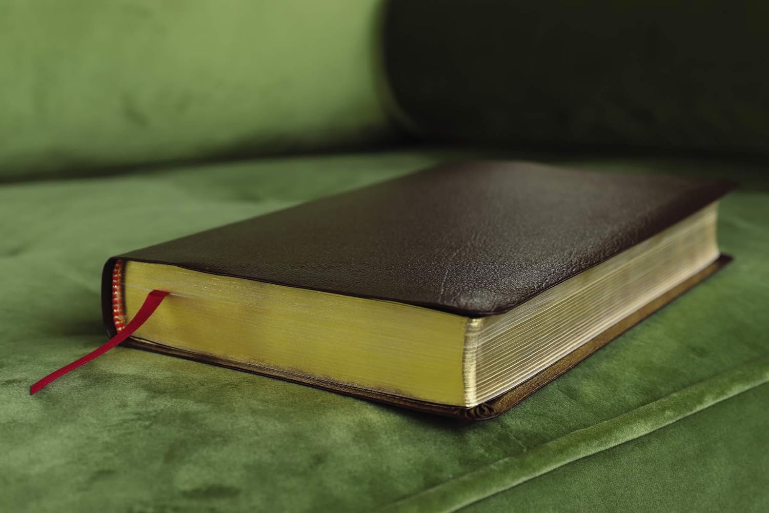 Amplified Holy Bible, Bonded Leather, Black/Burgundy: Captures the Full Meaning Behind the Original Greek and Hebrew Bonded Leather