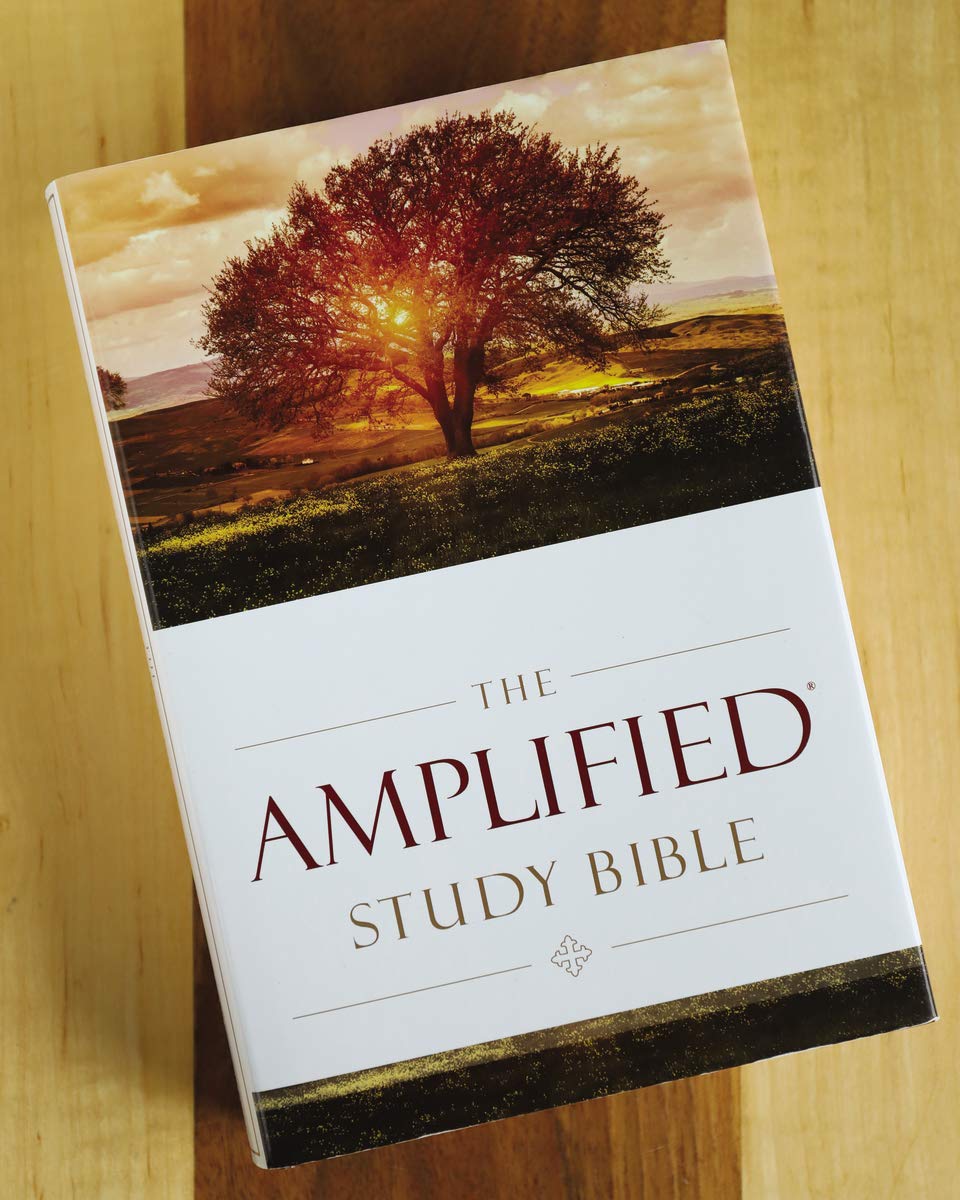 Leathersoft Hardcover Amplified Study Bible in Brown Imitation Leather