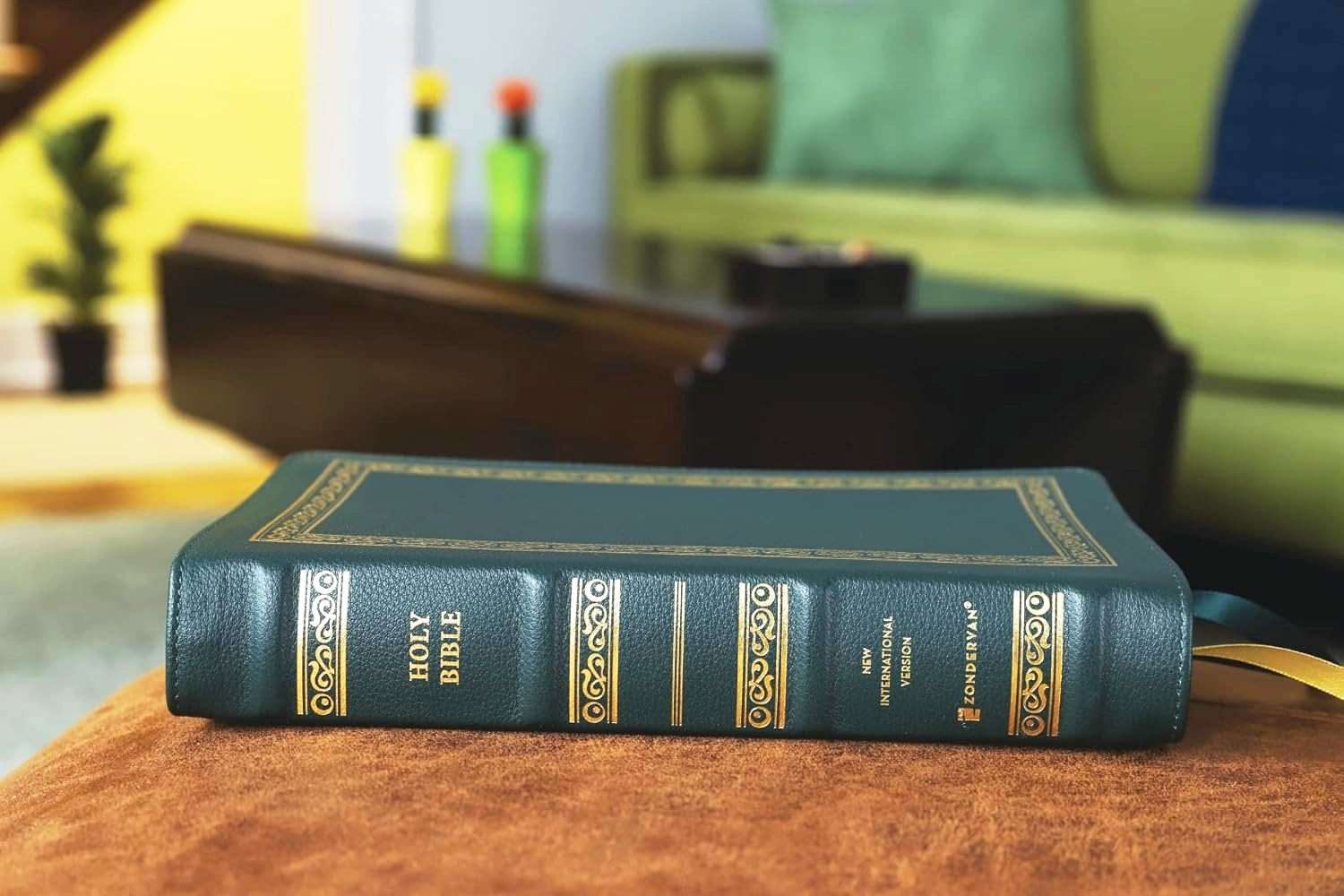 NIV Personal Size Large Print Bible - Premium Dark Green Goatskin Leather - Premier Collection