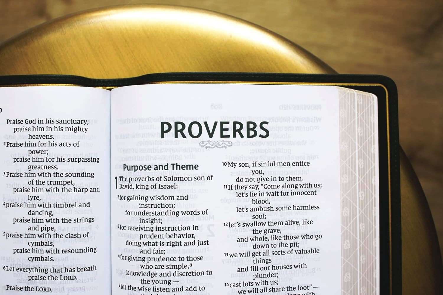 NIV Personal Size Large Print Bible - Premium Dark Green Goatskin Leather - Premier Collection