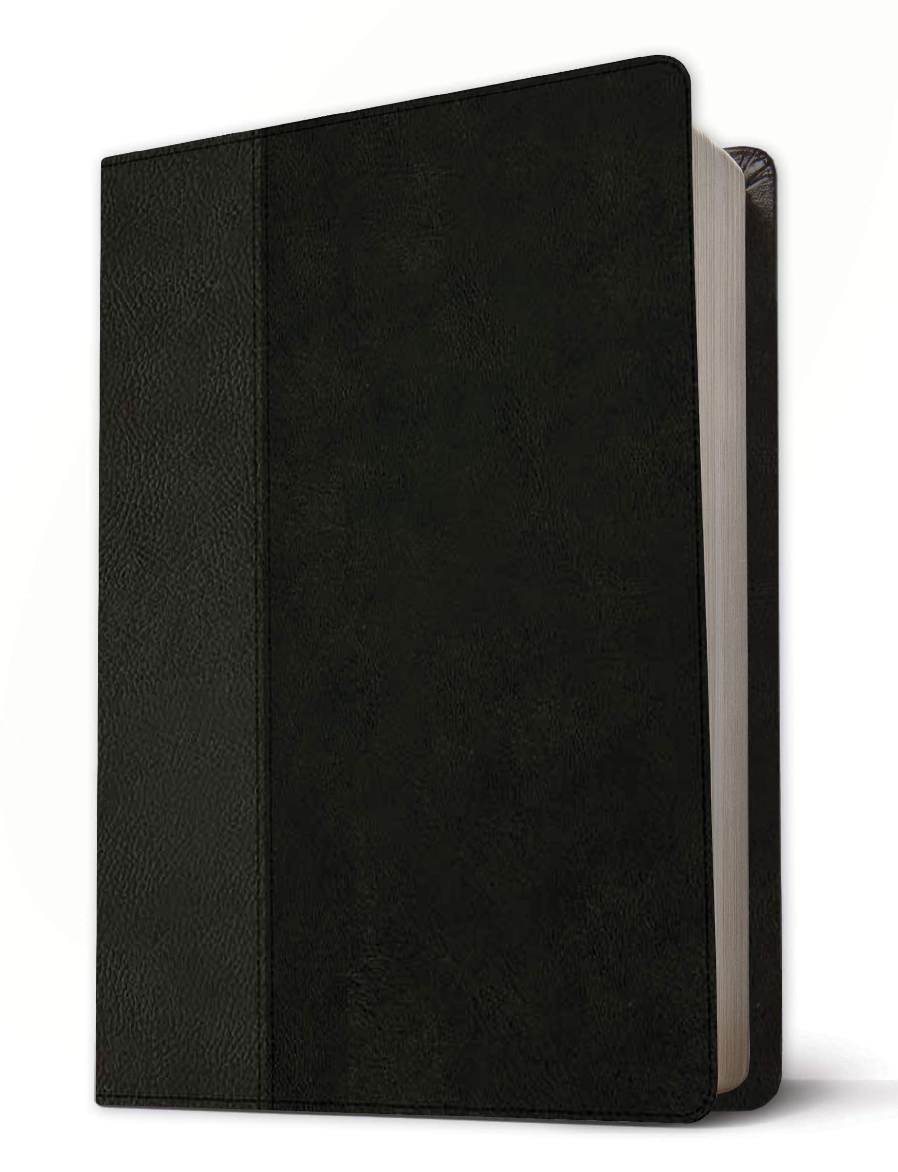 Personal Size NLT Life Recovery Bible in imitation leather black onyx