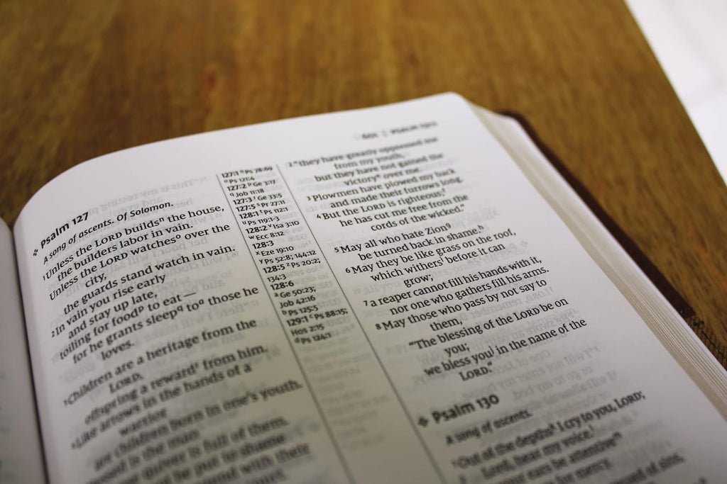 NIV Thinline Reference Bible with Leathersoft cover in Brown and Red Letter Comfort Print