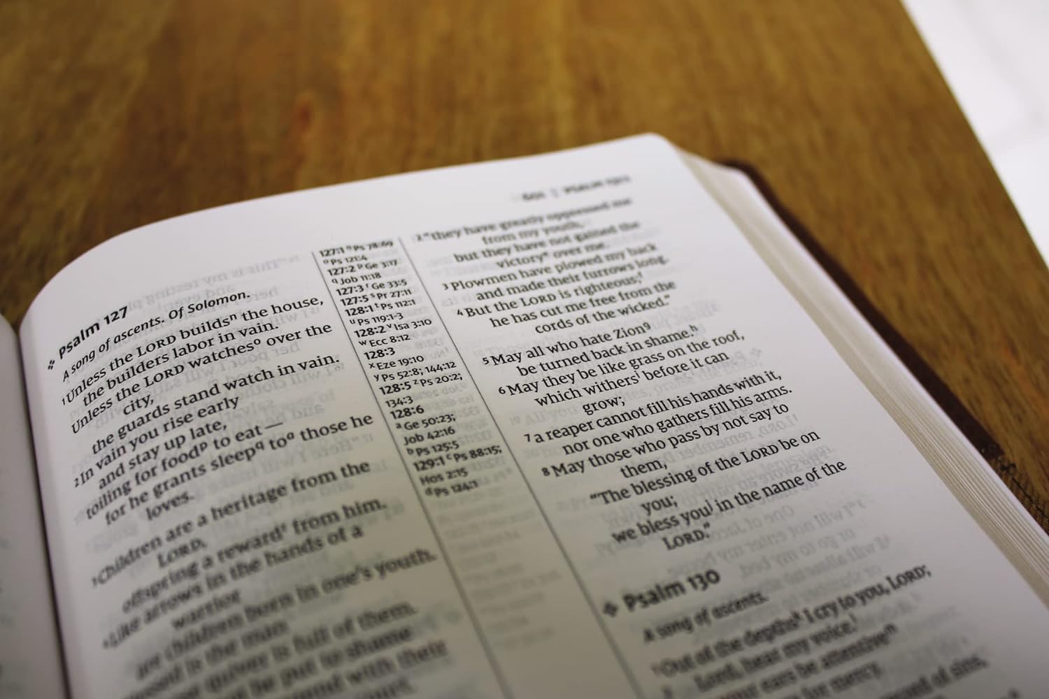 NIV Thinline Reference Bible with Leathersoft cover in Brown and Red Letter Comfort Print