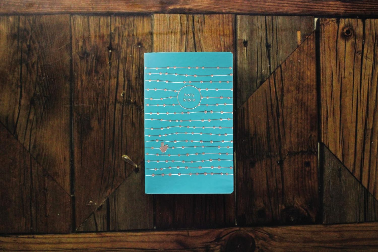 NIV Holy Bible for Girls Soft Touch Edition in Teal LeatherSoft with gold accents