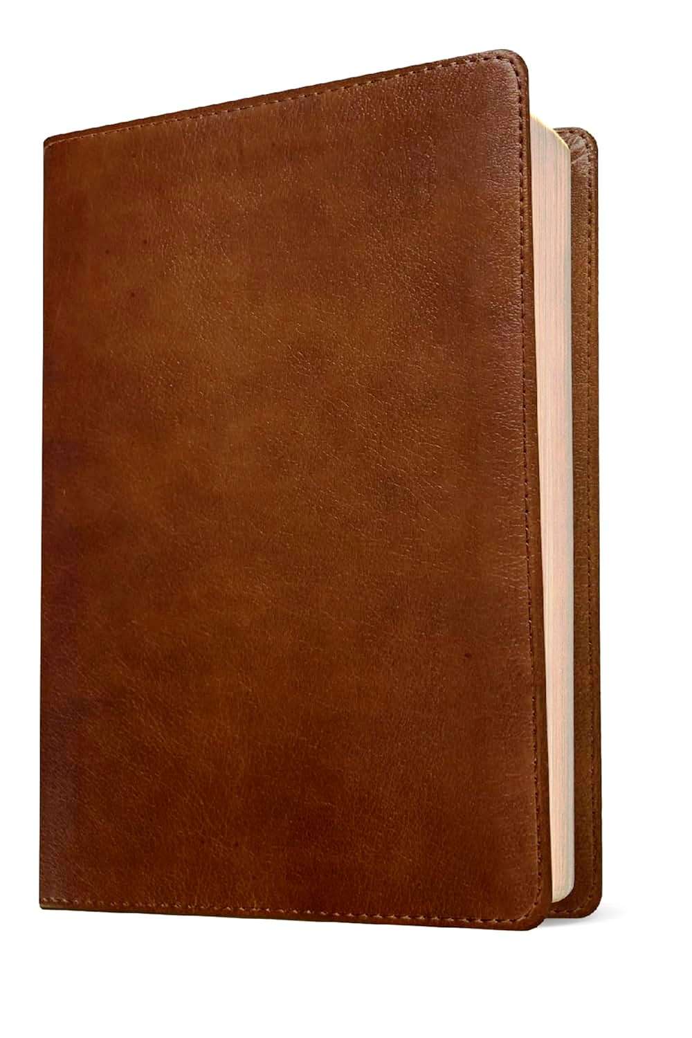 NLT Giant Print Personal Size Bible, Rustic Brown Soft Leather Cover
