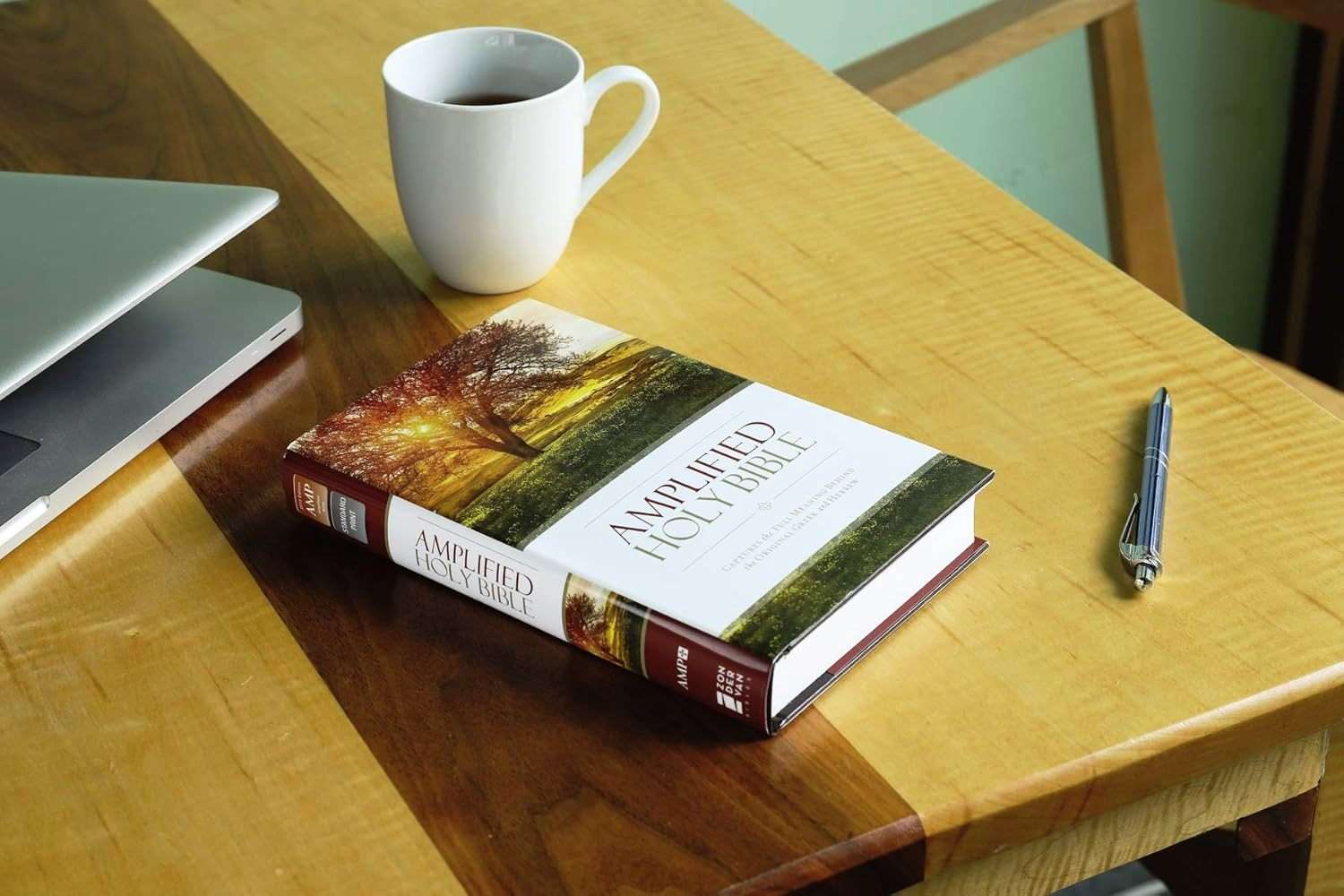 Amplified Bible, Demi Size, Hardcover Edition (ISBN: 9780310443872)